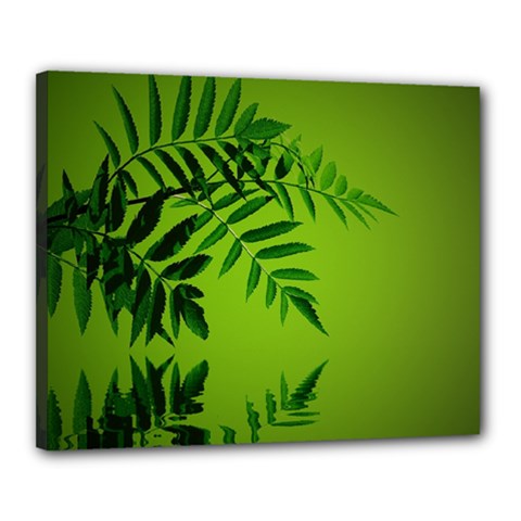 Leaf Canvas 20  X 16  (framed)