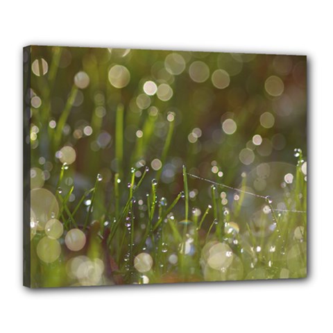 Waterdrops Canvas 20  X 16  (framed)