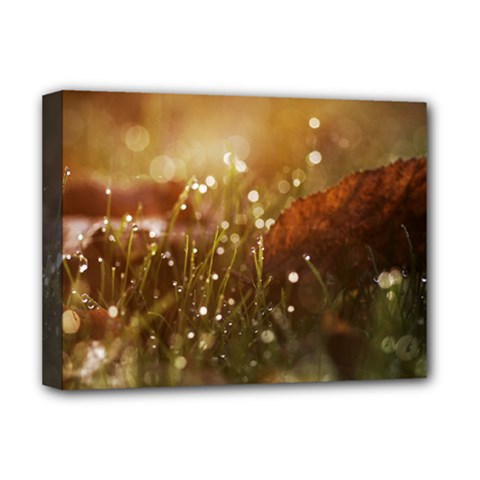 Waterdrops Deluxe Canvas 16  X 12  (framed) 