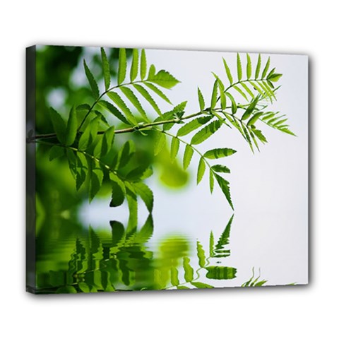 Leafs With Waterreflection Deluxe Canvas 24  X 20  (framed) by Siebenhuehner