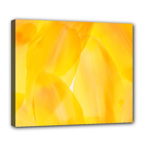 Yellow Pattern Painting Deluxe Canvas 24  X 20  