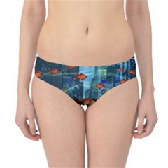 Urban Swimmers   Hipster Bikini Bottoms