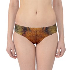 Fox Hipster Bikini Bottoms