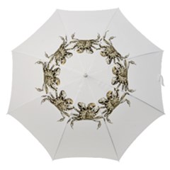 Dark Crab Photo Straight Umbrellas by dflcprints