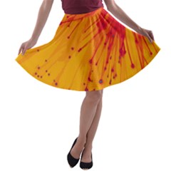 Big Bang A-line Skater Skirt