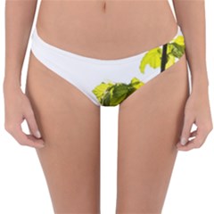 Leaves Nature Reversible Hipster Bikini Bottoms