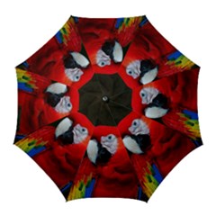 Scarlet Macaw Bird Golf Umbrellas by BangZart