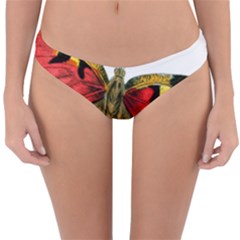 Butterfly Bright Vintage Drawing Reversible Hipster Bikini Bottoms