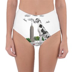 Great Dane Reversible High-waist Bikini Bottoms