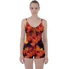 Ablaze With Beautiful Fractal Fall Colors Tie Front Two Piece Tankini