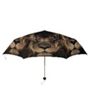 African Lion Mane Close Eyes Folding Umbrellas View3