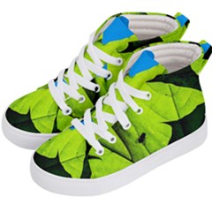 Window Of Opportunity Kid s Hi-top Skate Sneakers by FunnyCow