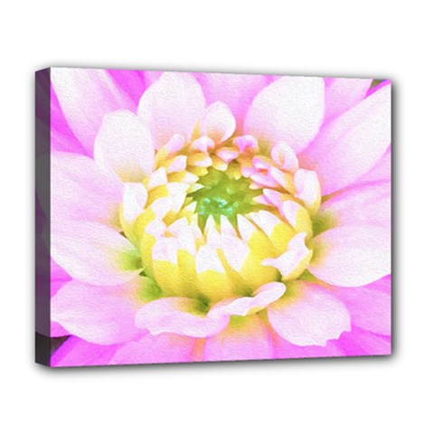 Pretty Pink, White And Yellow Cactus Dahlia Macro Deluxe Canvas 20  X 16  (stretched) by myrubiogarden