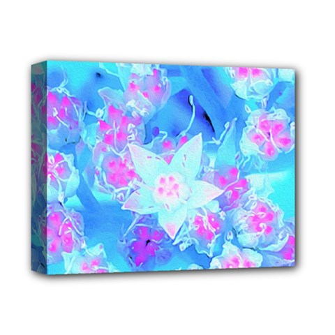 Blue And Hot Pink Succulent Underwater Sedum Deluxe Canvas 14  X 11  (stretched) by myrubiogarden