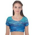 Women  Velvet Short Sleeve Crop Top  View1