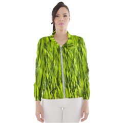 Agricultural Field   Women s Windbreaker by rsooll