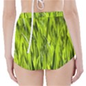 Agricultural field   High-Waisted Bikini Bottoms View2