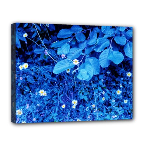 Blue Daisies Canvas 14  X 11  (stretched) by okhismakingart