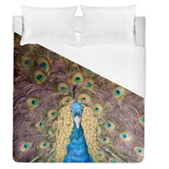 Bird Peacock Feather Duvet Cover (queen Size) by HermanTelo