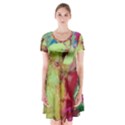 Neon World  Short Sleeve V-neck Flare Dress View1