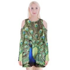 Blue And Green Peacock Velvet Long Sleeve Shoulder Cutout Dress by Pakrebo