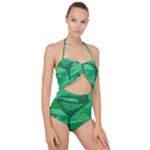 5 Oclock Somewhere Scallop Top Cut Out Swimsuit