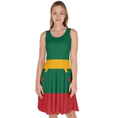 Lithuania Flag Knee Length Skater Dress With Pockets by FlagGallery