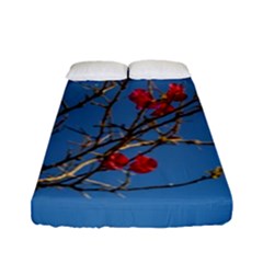 Santa Rita Flower Photo001 Fitted Sheet (full/ Double Size) by dflcprintsclothing