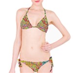 Quarantine Spring Classic Bikini Set