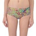 Quarantine Spring Mid-Waist Bikini Bottoms View1