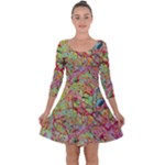 Quarantine Spring Quarter Sleeve Skater Dress