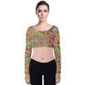 Quarantine Spring Velvet Long Sleeve Crop Top View1