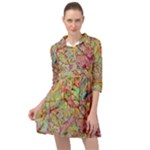 Quarantine Spring Mini Skater Shirt Dress