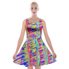 Vibrant-vases Velvet Skater Dress by LW323