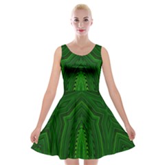 Freshspring3 Velvet Skater Dress by LW323