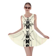 Banded Alder Borer  Skater Dress by Limerence