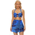 Peony in Blue Vintage Style Bikini Top and Skirt Set  View1