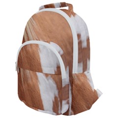 Horse Coat Animal Equine Rounded Multi Pocket Backpack by artworkshop