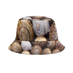 Snail Shells Pattern Arianta Arbustorum Inside Out Bucket Hat by artworkshop