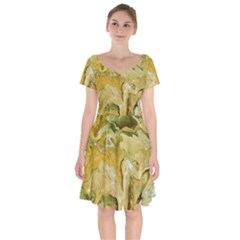 Kaleido Art Gold Short Sleeve Bardot Dress