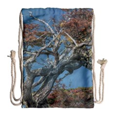 Botanical Wonders Of Argentina  Drawstring Bag (large)