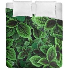 Shanghai Botanical Garden Duvet Cover Double Side (california King Size) by Pakjumat