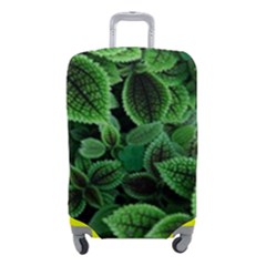 Shanghai Botanical Garden Luggage Cover (small) by Pakjumat