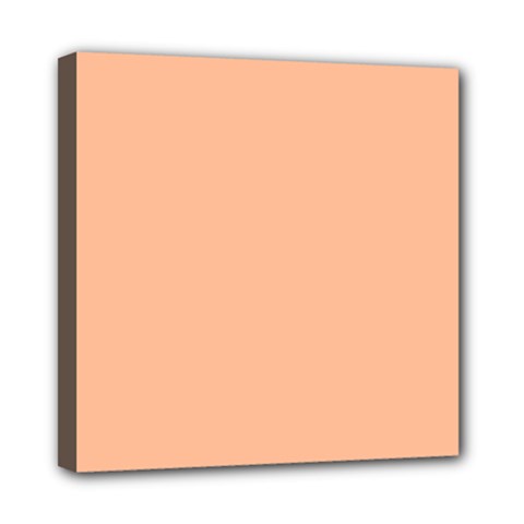 Peach Fuzz 2024 Mini Canvas 8  X 8  (stretched) by dressshop