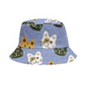 Cat Cat Background Animals Little Cat Pets Kittens Bucket Hat View2