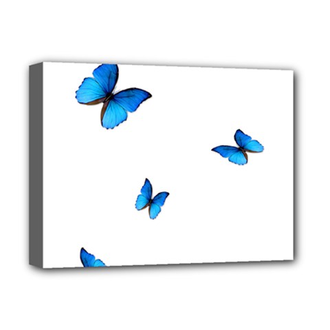 Butterfly-blue-phengaris Deluxe Canvas 16  X 12  (stretched)  by saad11