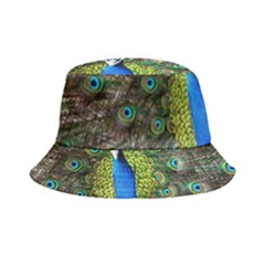 Peacock Bird Feathers Pheasant Nature Animal Texture Pattern Bucket Hat by Bedest