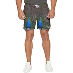 Bird Peacock Feathers Men s Runner Shorts by Perong