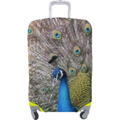 Peacock Bird Animal Peafowl Luggage Cover (large) by Perong