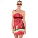 Watermelon, Fruit, Green, Red One Shoulder Ring Trim Bodycon Dress View1